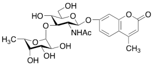 4-Methylumbelliferyl 2-Acetamido-2-deoxy-3-O-(alpha-L-fucopyranosyl)-beta-D-glucopyranoside