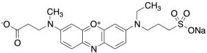 3-[N-(2-Carboxyethyl)methylamino]-7-[N-ethyl(3-sulfonatopropyl)amino]phenoxazin-5-ium Sodium
