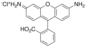 Rhodamine 110
