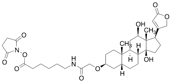 (3Beta,5Beta,12Beta)-3-[2-[[6-[(2,5-Dioxo-1-pyrrolidinyl)oxy]-6-oxohexyl]amino]-2-oxoethoxy]-12,14-dihydroxycard-20(22)-enolide
