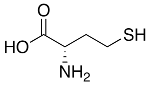 L-Homocysteine