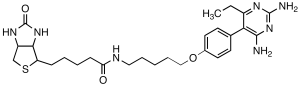 Pyrimethamine Biotin