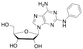 2-Phenylamino Adenosine