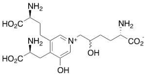 Hydroxylysylpyridinoline
