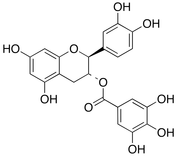 (-)-Catechin Gallate