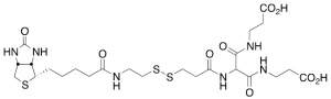 Biotinylamidoethyl]-dithiomethylenemalonic Acid Bis(3-aminopropionic Acid)