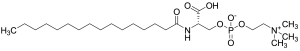 N-Palmitoyl-O-phosphocholine Serine