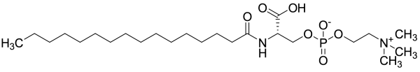 N-Palmitoyl-O-phosphocholine Serine