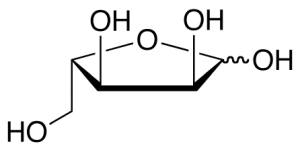 L-Ribose