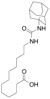 AUDA