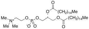 1,2-Dipalmitoyl-sn-glycero-3-phosphocholine (Colfosceril Palmitate)