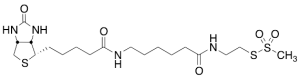 N-Biotinylcaproylaminoethyl Methanethiosulfonate