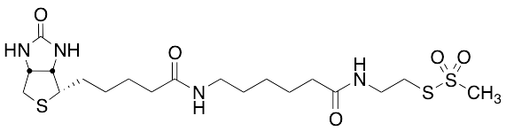 N-Biotinylcaproylaminoethyl Methanethiosulfonate