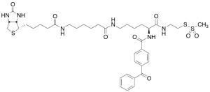 2-[Nalpha-Benzoylbenzoicamido-N6-(6-biotinamidocaproyl)-L-lysinylamido]ethyl Methanethiosulfonate