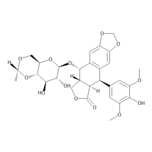 Etoposide