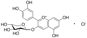Cyanidin 3-Xyloside