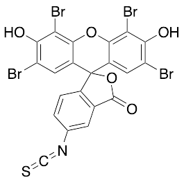 Eosine-5-isothiocyanate