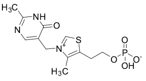 Oxythiamine Monophosphate