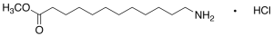 12-Amino-1-dodecanoic Acid Methyl Ester Hydrochloride Salt