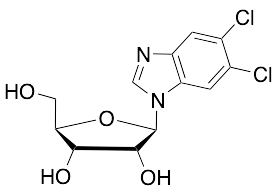 5,6-Dichloropurine-1-b-D-ribofuanosyl-H-benzimidazole