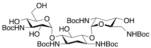 Penta-N-Boc Tobramycin