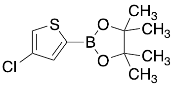 4-Chlorothiophen-2-boronic acid, pinacol ester