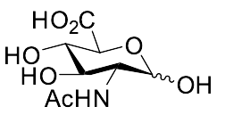2-Acetamido-2-deoxy-D-glucuronic Acid